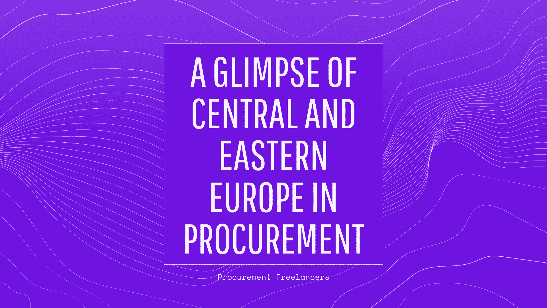 Glimpse of Central and Eastern Europe in Procurement A Glimpse of Central and Eastern Europe in Procurement