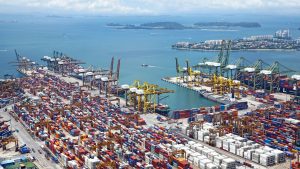 export and import