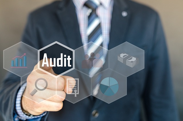 Procurement Audit Services: Why Every Business Needs Them