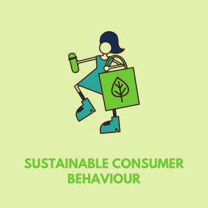 sustainable consumer behaviour